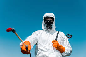 Best Bed Bug Extermination  in Montrose, NY